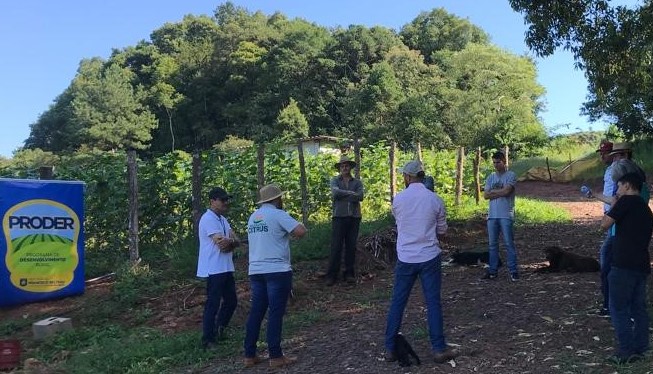  Dia de Campo aproxima produtores, técnicos e empresas