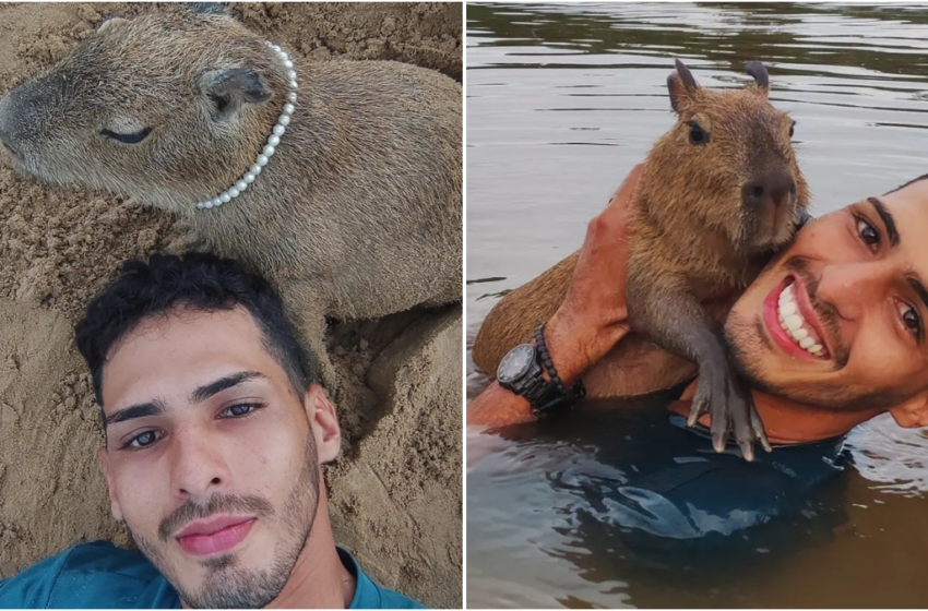  Ribeirinho viraliza nas redes sociais após mostrar amizade com capivara