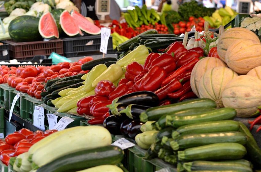  Deputados defendem fortalecimento da agricultura para produção de mais alimentos