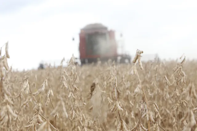  Setor agrícola do Paraná estima prejuízo de R$ 600 milhões no escoamento de soja devido a problema na BR-277