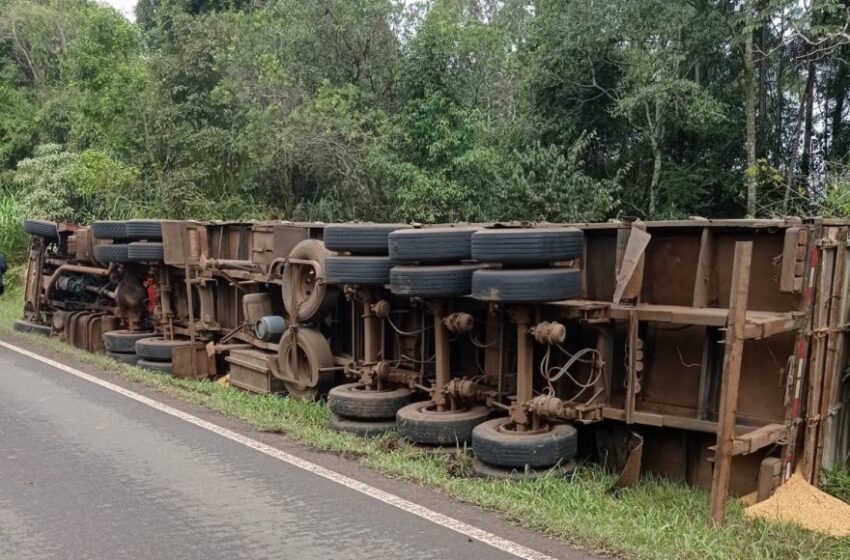  Aproximadamente 100 pessoas saqueiam carga de soja após caminhão tombar na BR 277