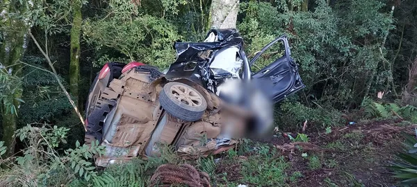  Três jovens morrem após carro sair da pista e colidir contra pinheiro