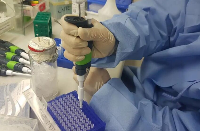  Instituto Butantan irá iniciar teste pré-clínico de vacina contra Zika em 2024
