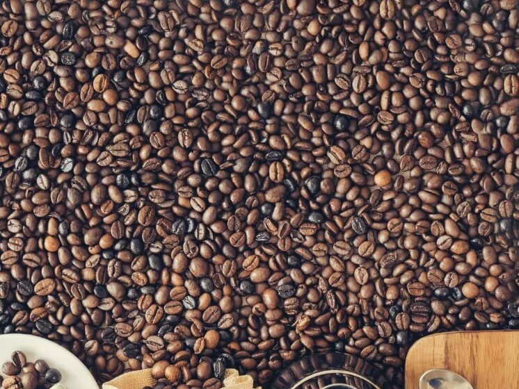  Exportação de café no mês de janeiro bate recorde