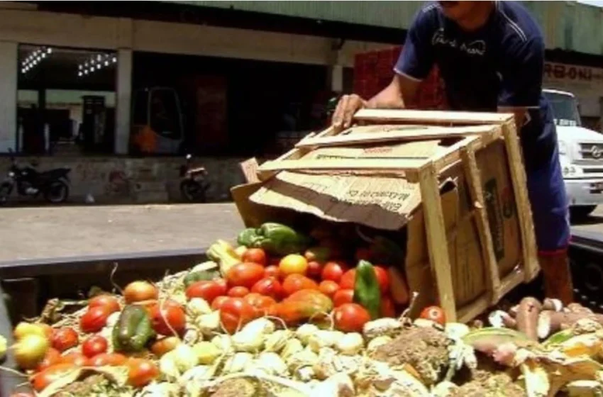  Em meio à alta de preços, Argentinos buscam alimentos descartados para sobreviver