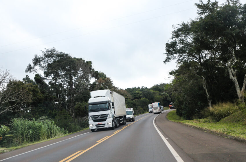  Paraná promove mutirão de emprego para 500 vagas no setor de transporte e logística
