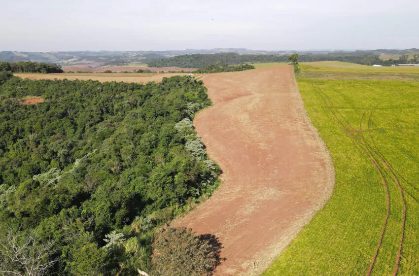  Operação de combate ao desmatamento ilegal na região Sudoeste resulta em R$ 2,8 milhões em multas