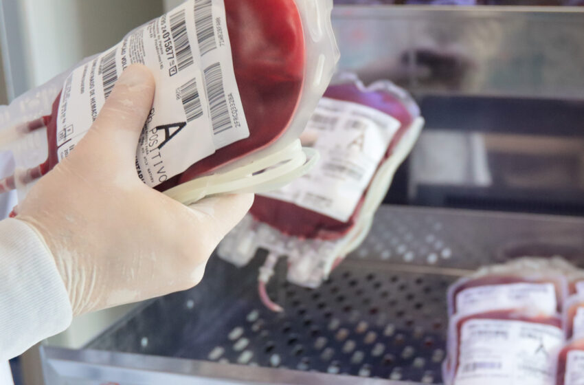  Paraná envia 300 bolsas de sangue para ajudar o sistema de saúde do Rio Grande do Sul