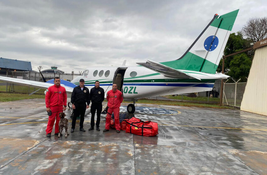  Cães e bombeiros paranaenses embarcam para o Rio Grande do Sul para ajudar em busca por vítimas