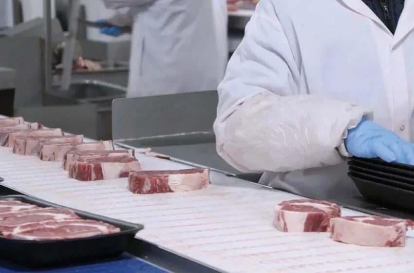  Exportações de carne suína brasileira aumentam 7,8%