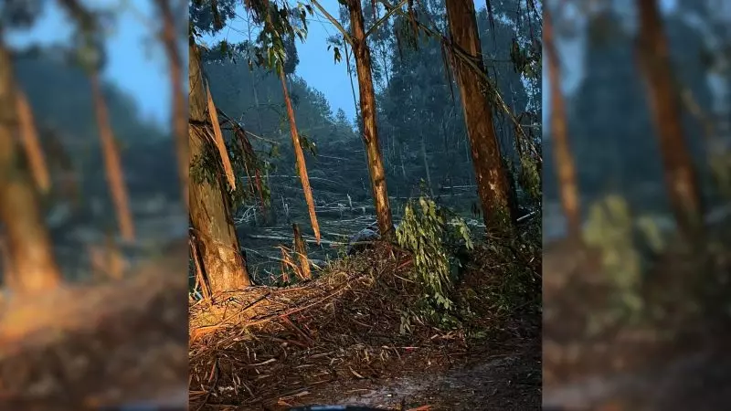  Defesa Civil confirma passagem de tornado em município catarinense