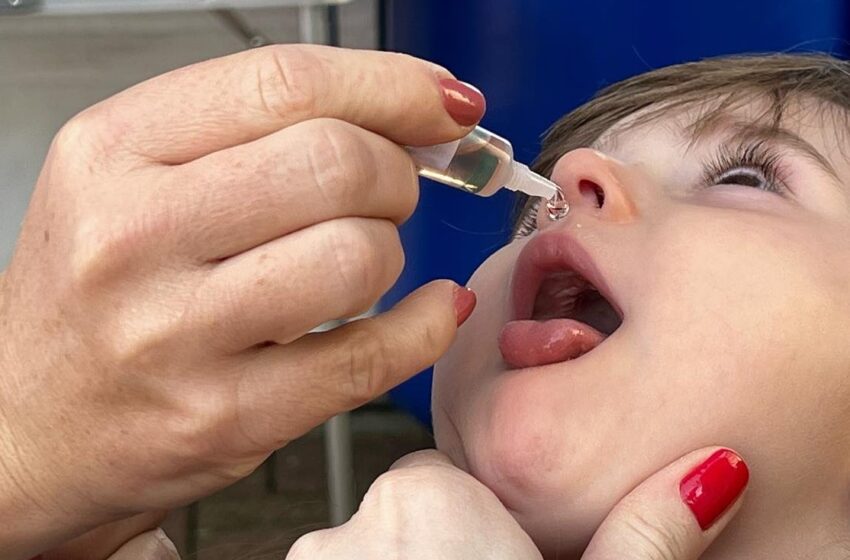  Dia D De Vacinação aplica quase 1.300 doses em Francisco Beltrão