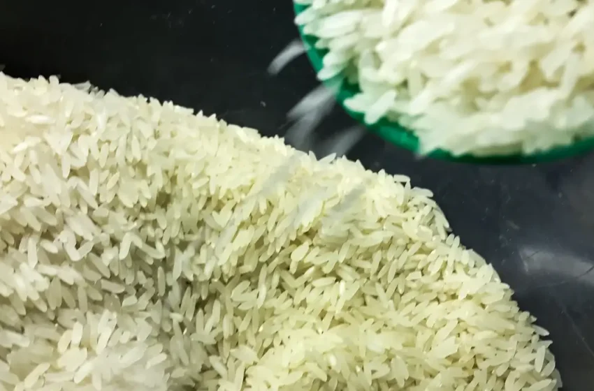  Governo federal decide anular leilão realizado pela Conab e cancela compra de arroz importado