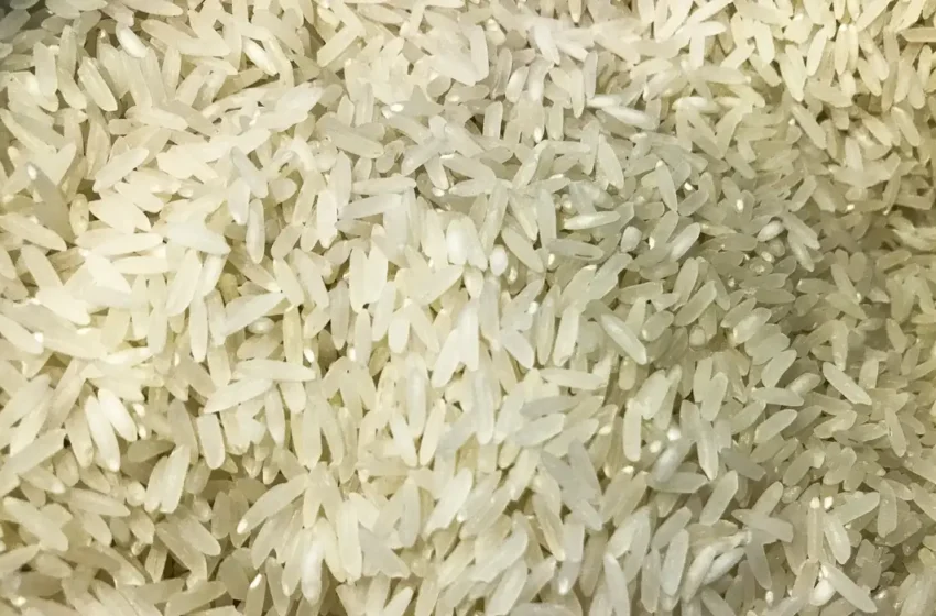  Companhia Nacional de Abastecimento compra 263,3 mil toneladas de arroz importado em leilão