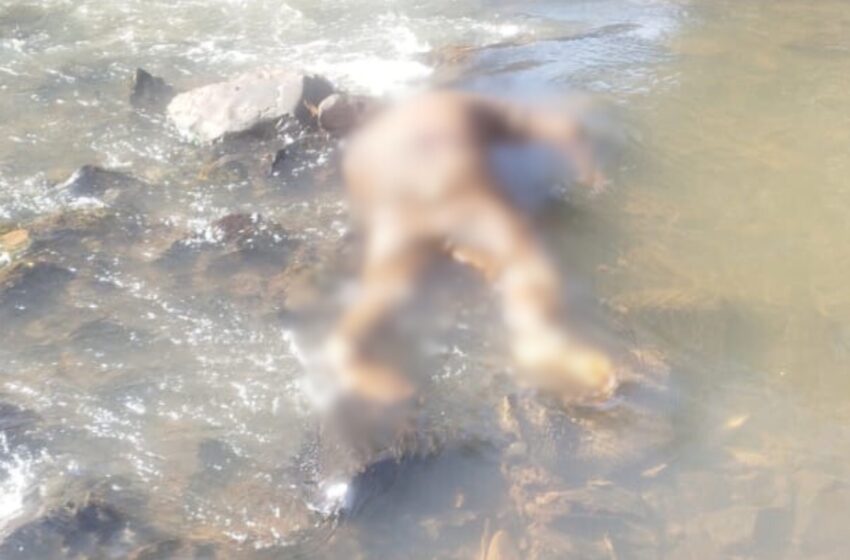  Corpo de homem é encontrado dentro de rio