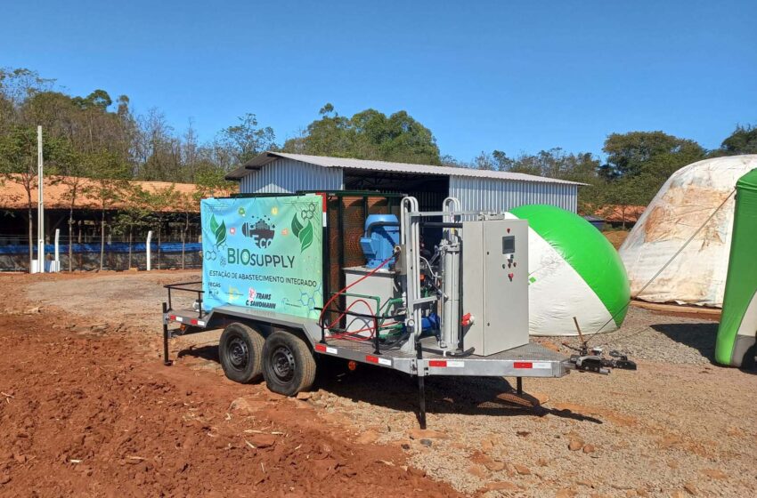  Propriedade do Oeste transforma dejetos em energia com o apoio do Estado