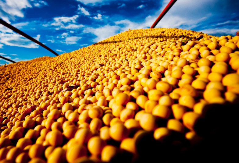  Vendas de soja no Brasil aceleram com recuperação de preços na Bolsa de Chicago