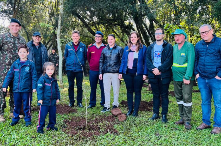  Dia de Proteção às Florestas: 250 mudas de árvores nativas são plantadas em Francisco Beltrão