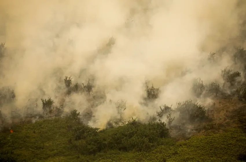  Maior área queimada no Pantanal é registrada no mês de Junho