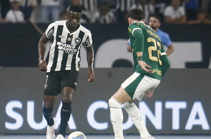  Botafogo e Palmeiras se enfrentam no primeiro jogo das oitavas da Copa Libertadores