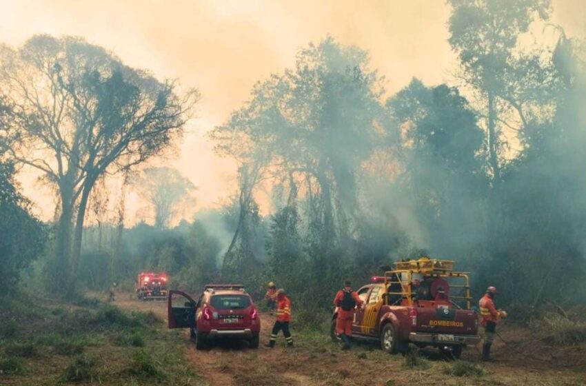  Corpo de Bombeiros do Paraná já atendeu mais de 9,3 mil incêndios florestais em 2024