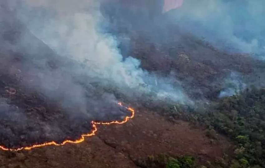  Incêndios causam danos de mais de R$ 14 bilhões no agronegócio