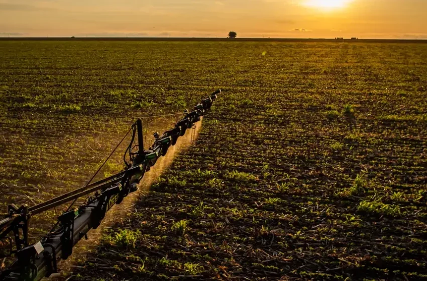  Estudo indica bioinsumo como solução sustentável na produção alimentar