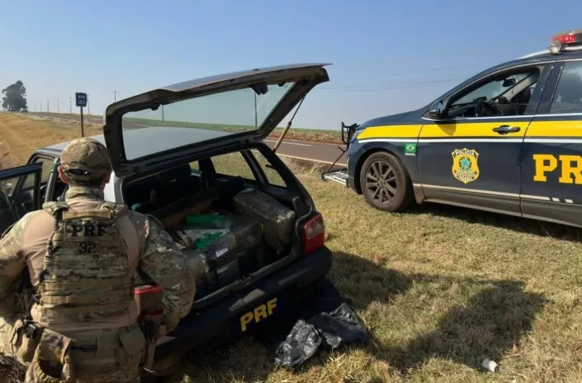  Após saltar de carro em movimento, homem é preso e PRF apreende 365 kg de maconha