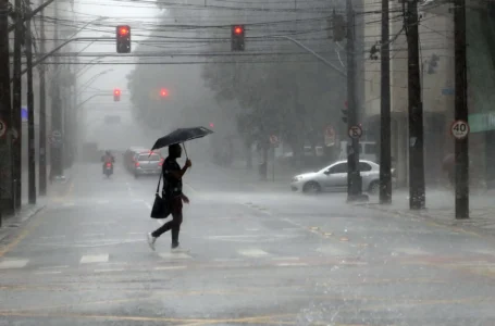 Paraná está em alerta para temporais com rajadas de ventos de até 85 km/h