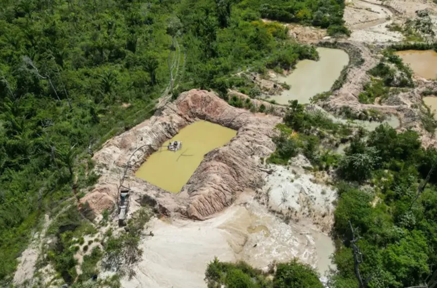  Terra Indígena Kayapó apresenta mais de 17% de área consumida pelo fogo