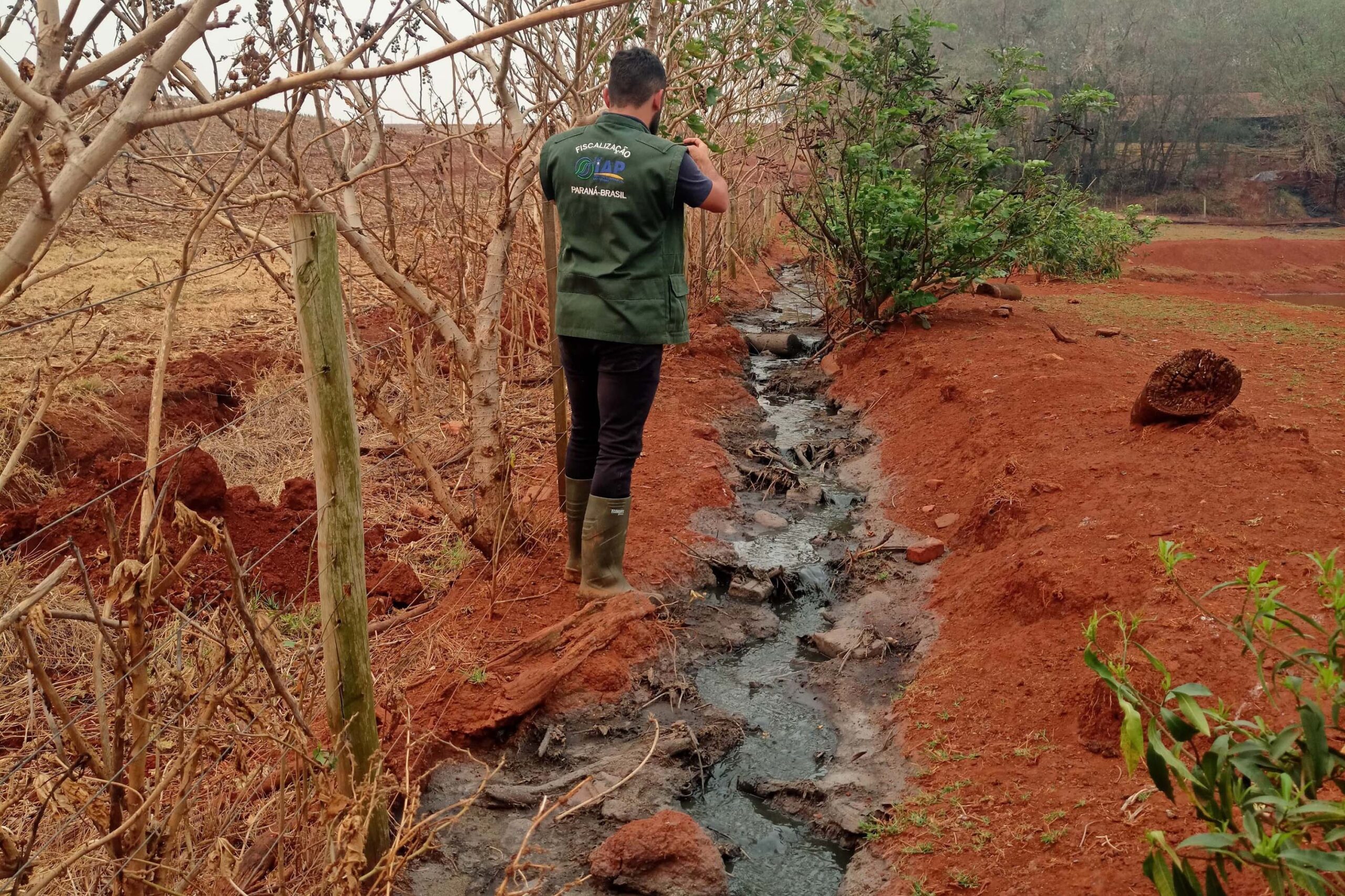 Suinocultor é multado em R$ 100 mil por infração ambiental em córrego