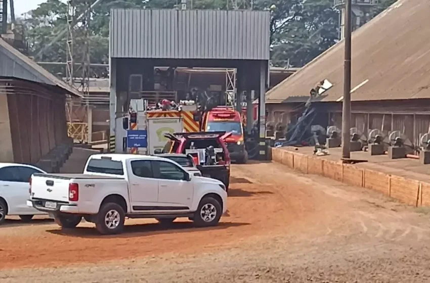  Trabalhadores ficam soterrados em silo de grãos em cooperativa no Paraná