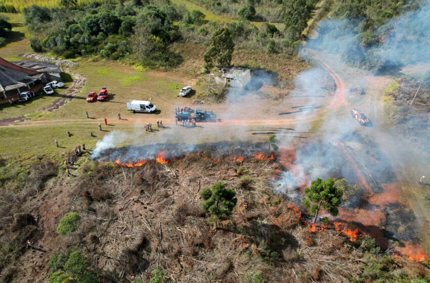  Paraná suspende por 3 meses queima controlada no campo para prevenir incêndios