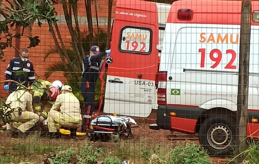  No Paraná: Homem fica em estado grave após ser atacado por cães em um barracão