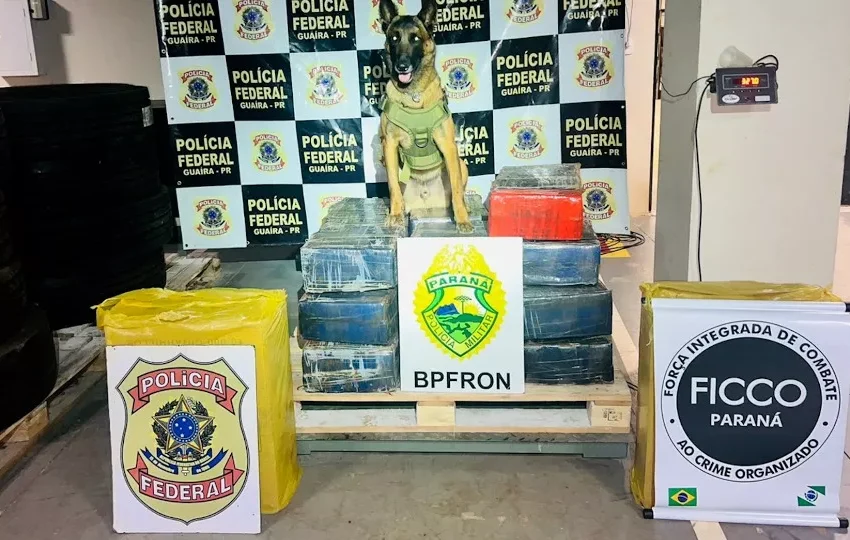  Mulher é detida em casa com mais de 300kg de maconha no Paraná