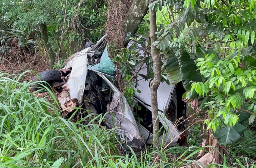  Condutor morre após carro sair da pista e colidir contra árvores na BR 158; veículo ficou totalmente destruído