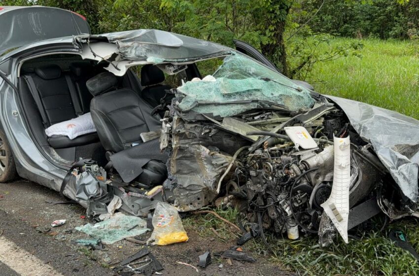  Após bater com veículo em árvore mulher morre em rodovia entre Ampére e Beltrão