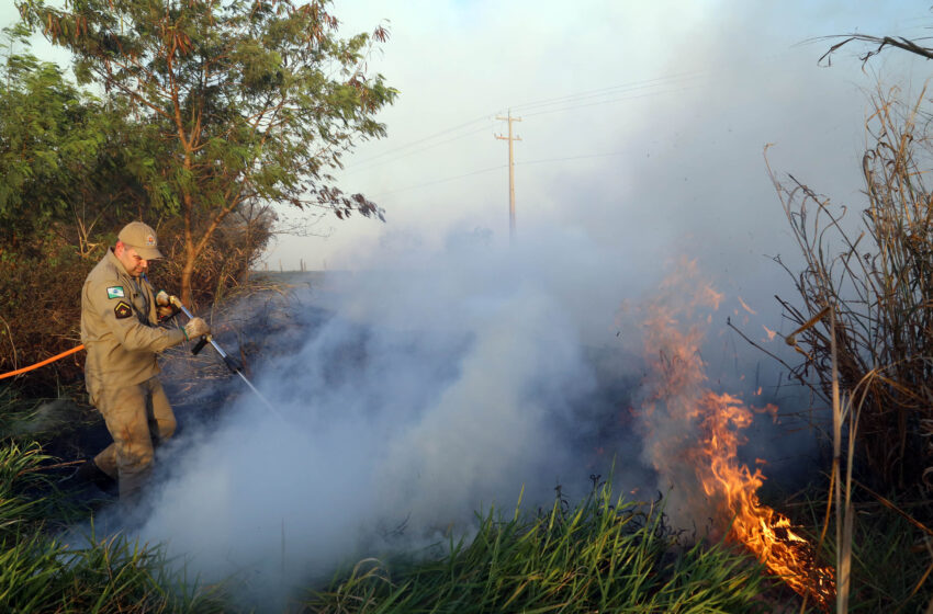  IAT estabelece portaria orientativa sobre incêndios em imóveis rurais do Paraná