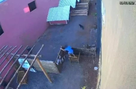 Mãe de criança que matou 23 animais revela que filho apanhava na escola 