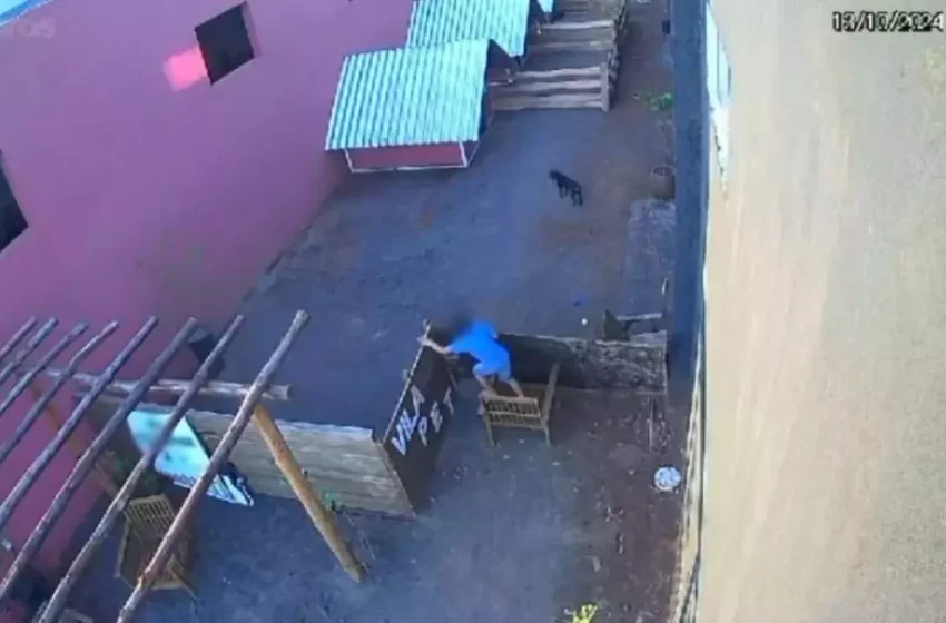  Mãe de criança que matou 23 animais revela que filho apanhava na escola 