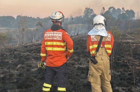 Incêndios florestais no Paraná caem 57% entre a primeira quinzena de setembro e outubro