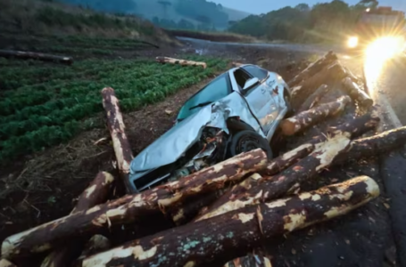 Carga de toras de madeira cai, atinge carros e deixa três feridos